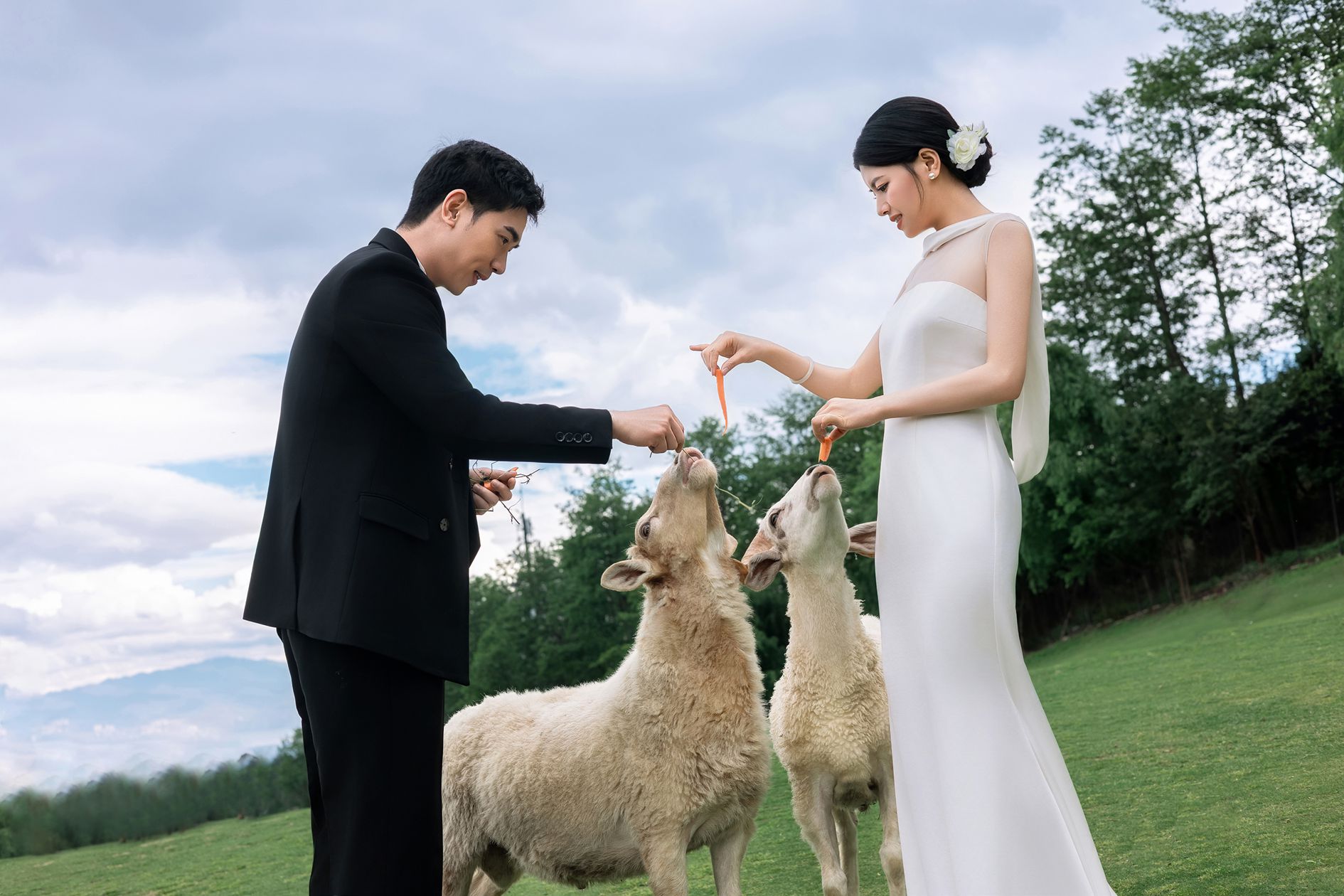 云上牧歌_成都婚纱摄影